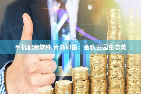 手机配资软件 青岛即墨：金秋田园生态美