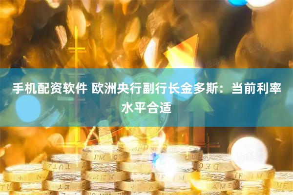 手机配资软件 欧洲央行副行长金多斯：当前利率水平合适