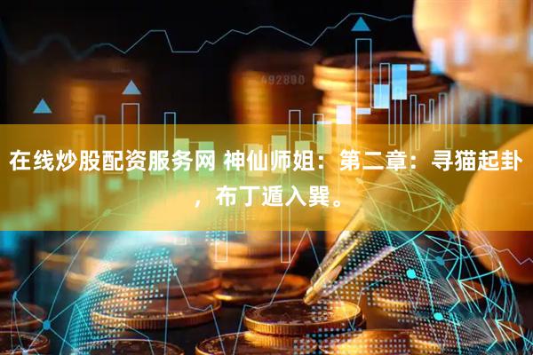 在线炒股配资服务网 神仙师姐:第二章:寻猫起卦,布丁遁入巽。