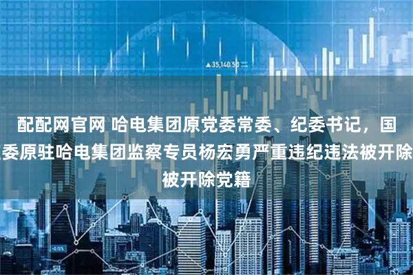 配配网官网 哈电集团原党委常委、纪委书记，国家监委原驻哈电集团监察专员杨宏勇严重违纪违法被开除党籍